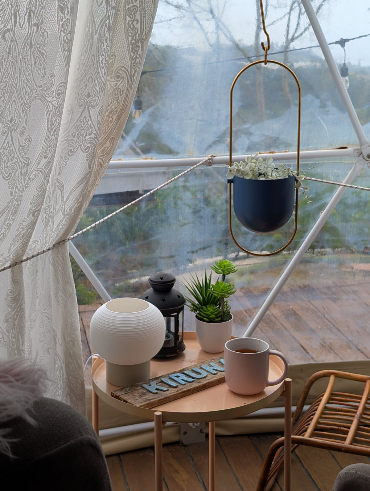 KAMI on a small side table by a window with plants
